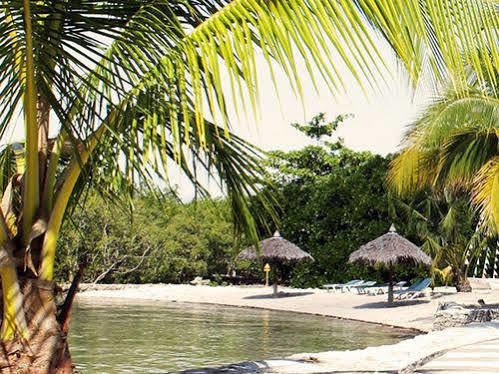 Whispering Palms Island Resort Bacolod Bagian luar foto